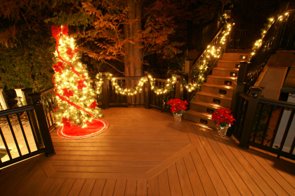 Tree Lighting