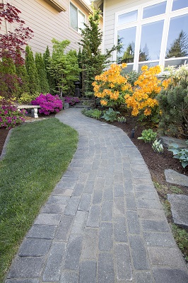 walkway with flowers