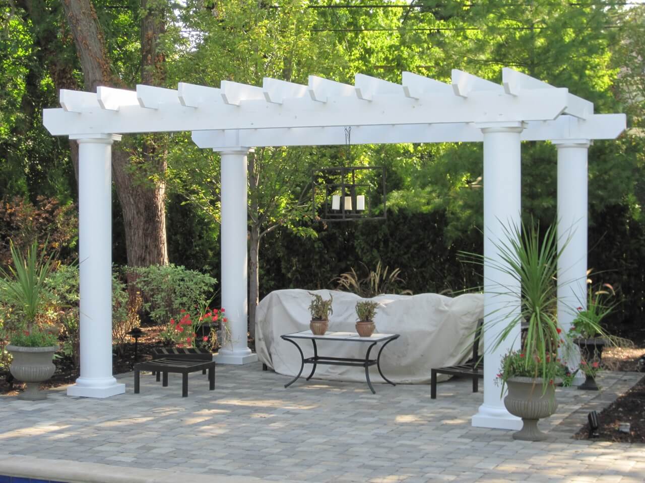 pergola with plants