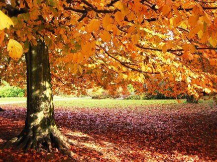 Autumn in the Carolinas