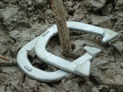 Horseshoes game