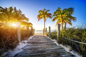 we can create the ultimate staycation in your backyard