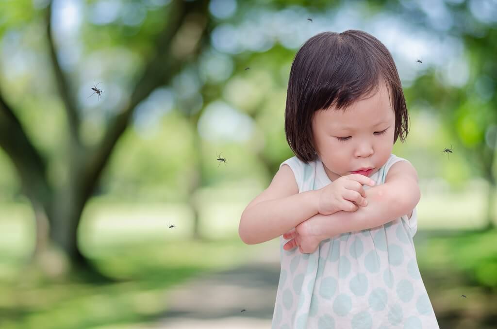 kid with mosquitoes flying