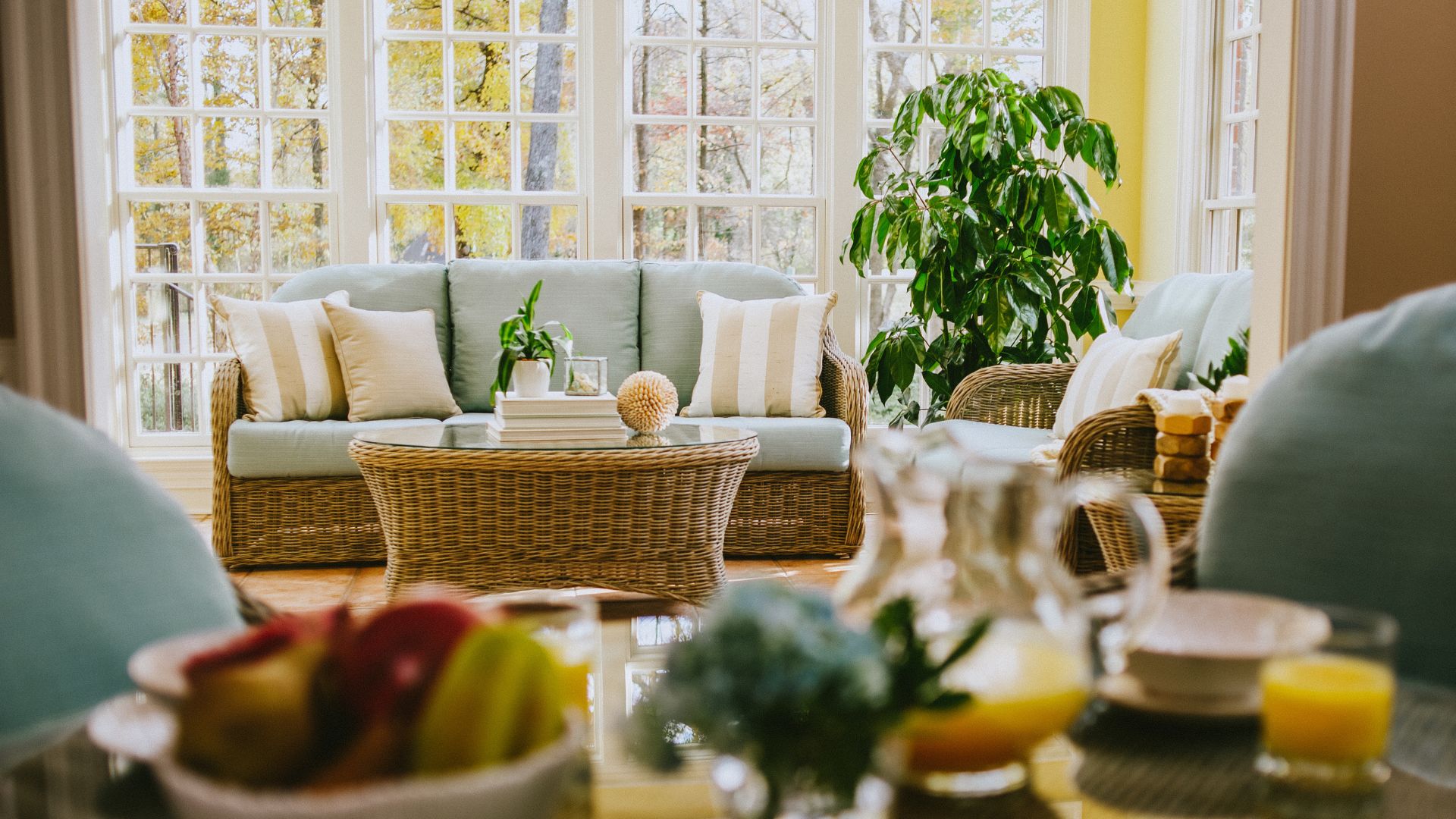 Sunroom ceilings