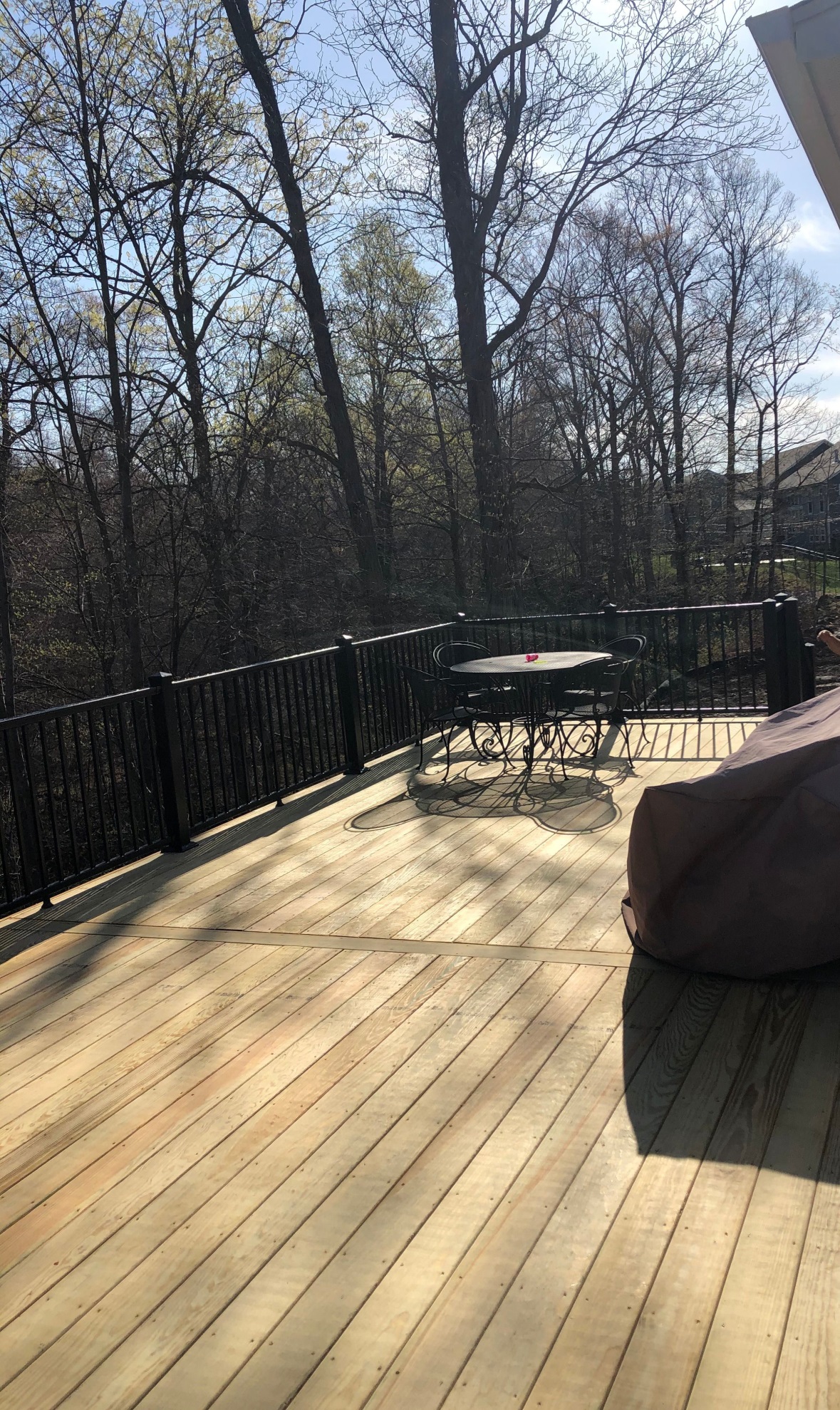 Elevated Deck Design with a View of Nature