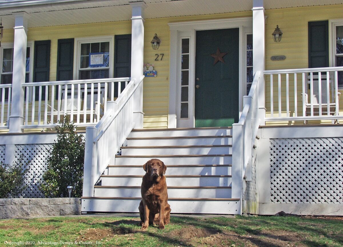 Dog sitting in front of farmer's porch