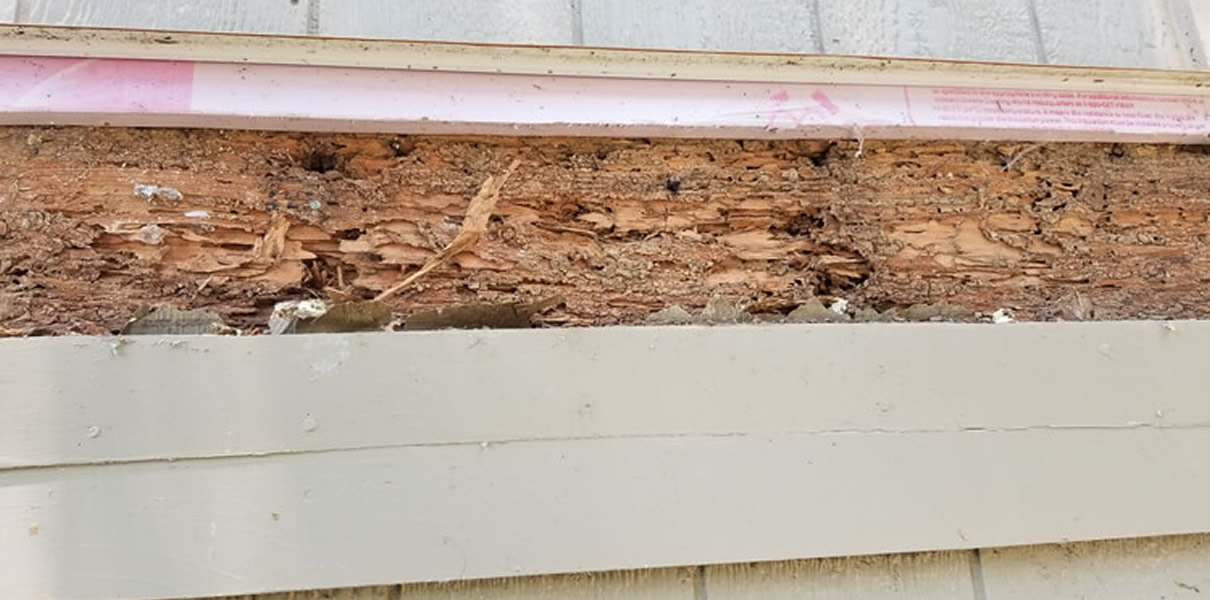 deck repair, ledger board failure