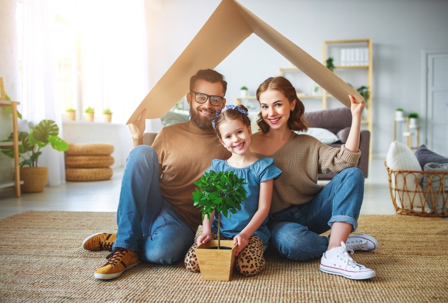 family under cardboard roof with young potted plant